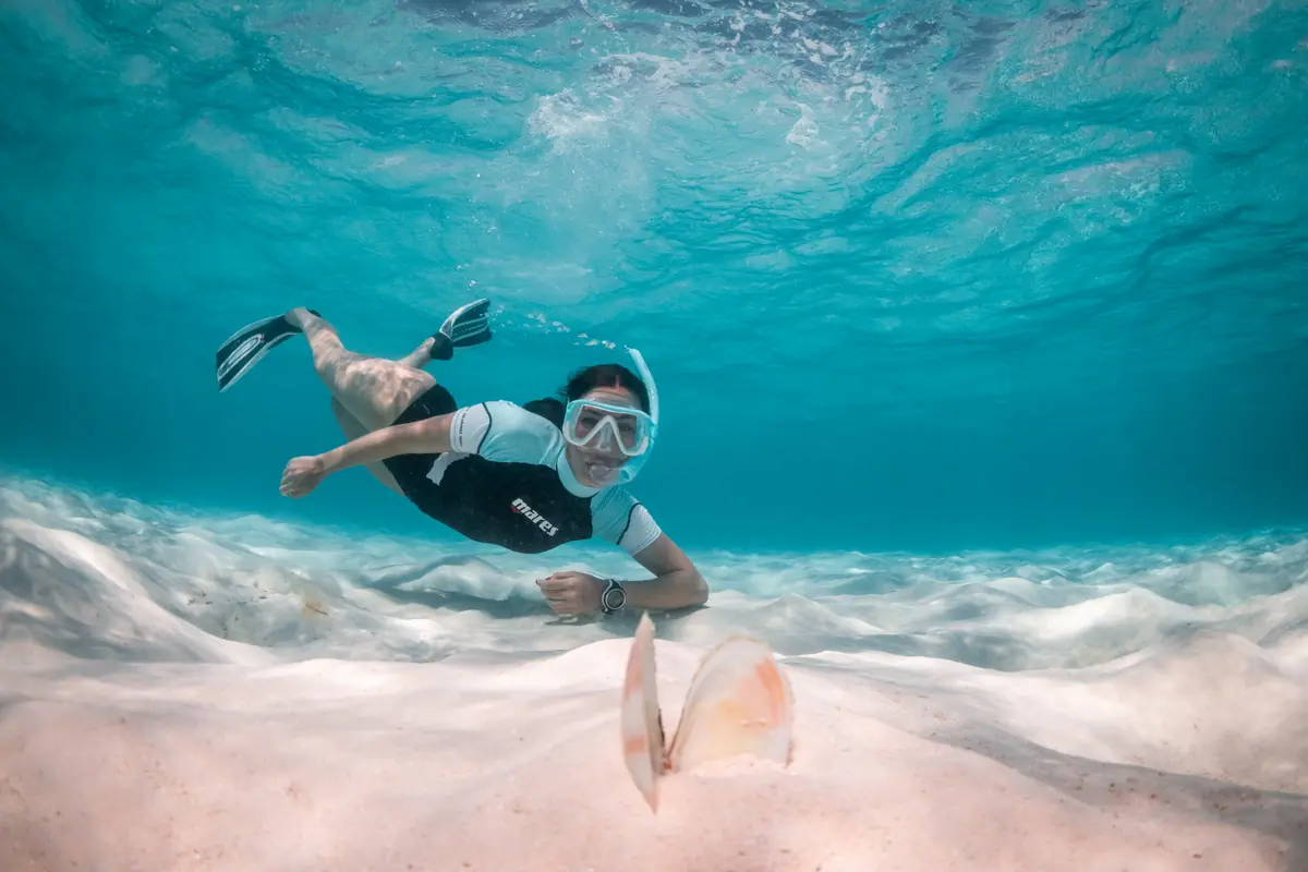 SCUBA.COM.SG terms of use – scuba diving and snorkelling directory