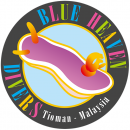 Blue Heaven Divers logo – SSI centre in Tioman